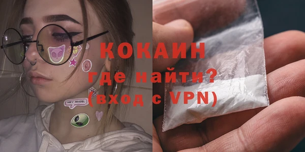 шишки Костерёво