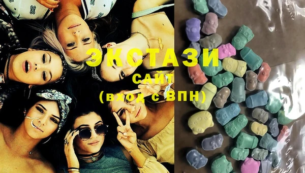 стаф Корсаков
