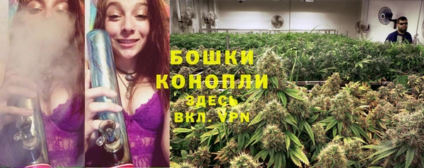 стаф Корсаков