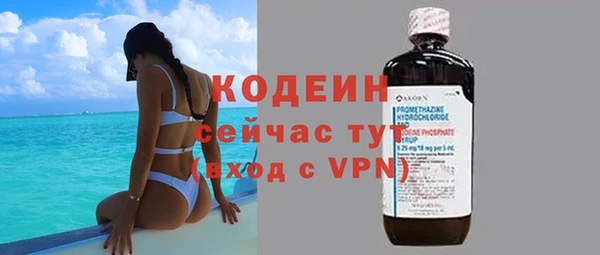 шишки Костерёво