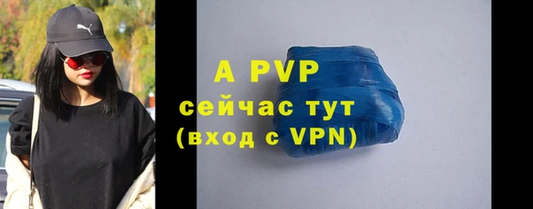 стаф Корсаков