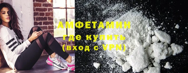 стаф Корсаков