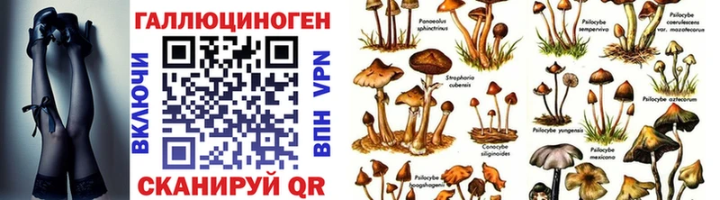 Псилоцибиновые грибы MAGIC MUSHROOMS Ковылкино