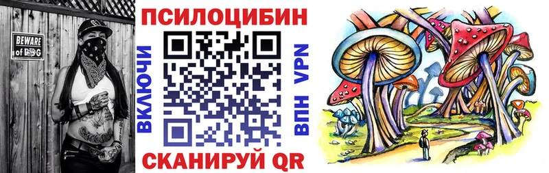Купить  Ковылкино  Псилоцибиновые грибы Psilocybe 